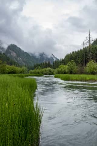 DSC_7284.jpg