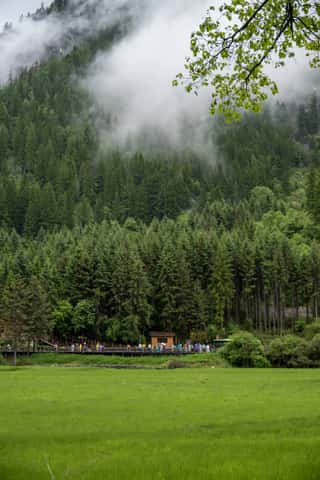DSC_7288.jpg