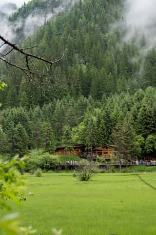 DSC_7290.jpg