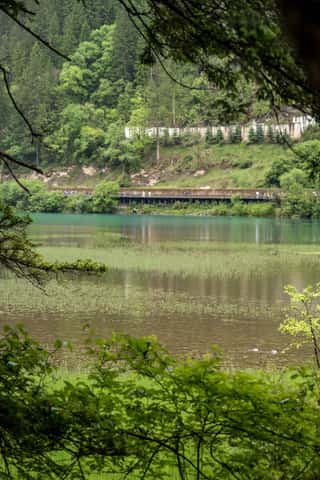 DSC_7301.jpg