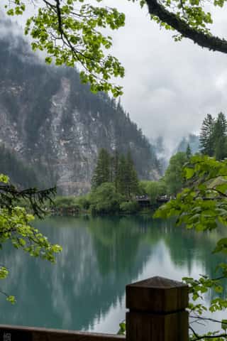 DSC_7317.jpg