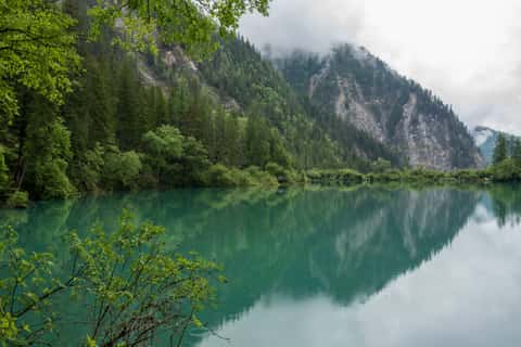 DSC_7326.jpg