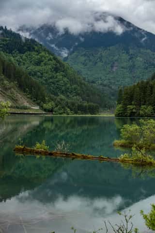 DSC_7345.jpg