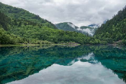 DSC_7352.jpg