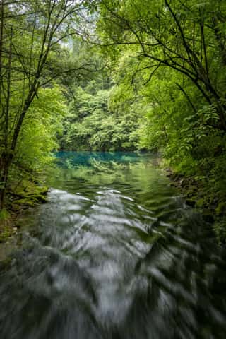 DSC_7376.jpg