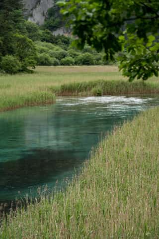 DSC_7388.jpg