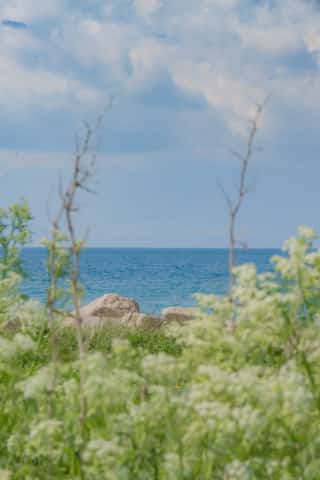 DSC_7435.jpg