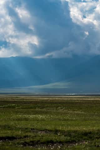 DSC_7453.jpg