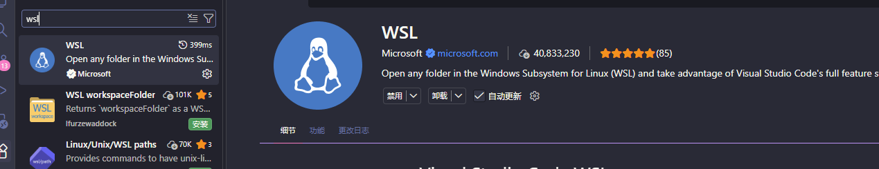 Remote - WSL 扩展的安装页