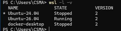 wsl -l -v 的输出，查看此时的默认发行版